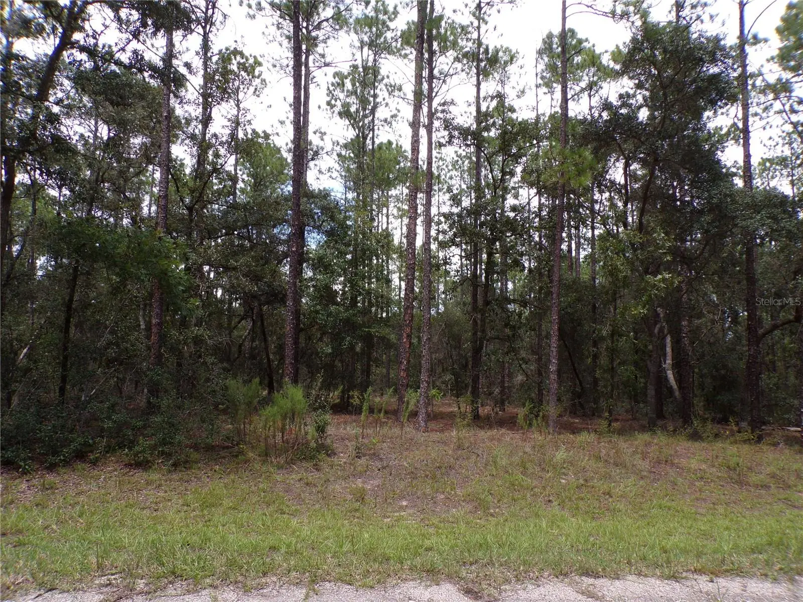 601 Marquette Lane, FL