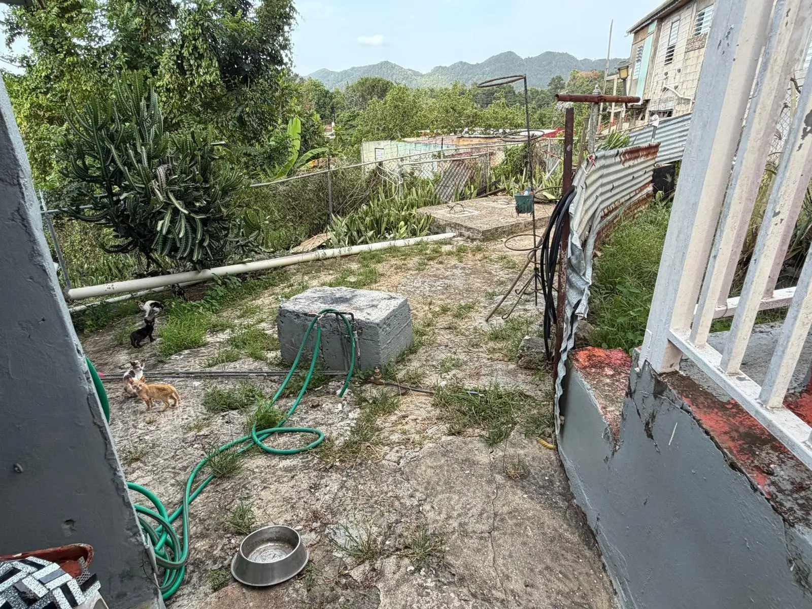 Carr. 10 Bo. Hato Viejo, PR