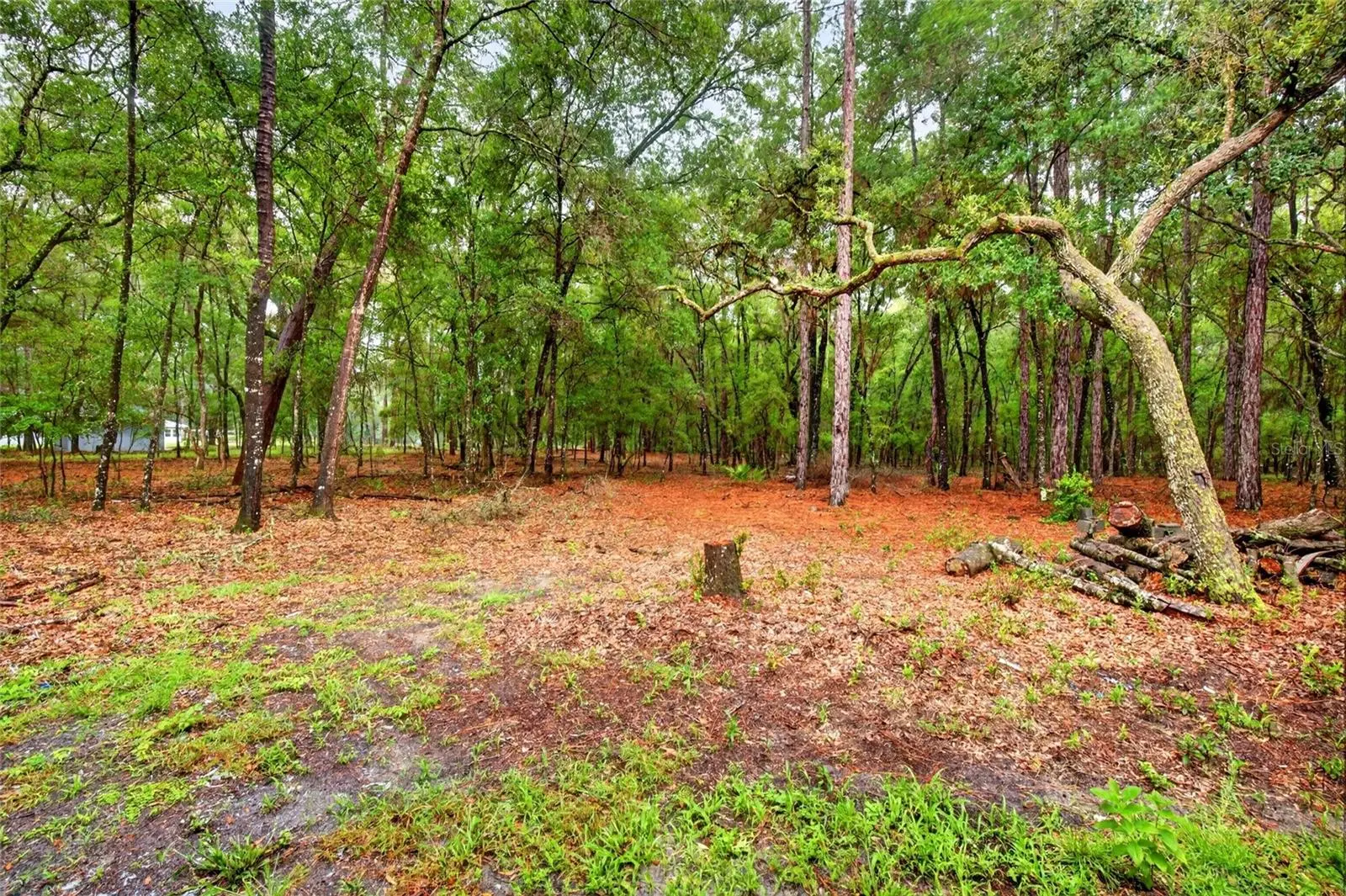 7550 185th Circle, FL