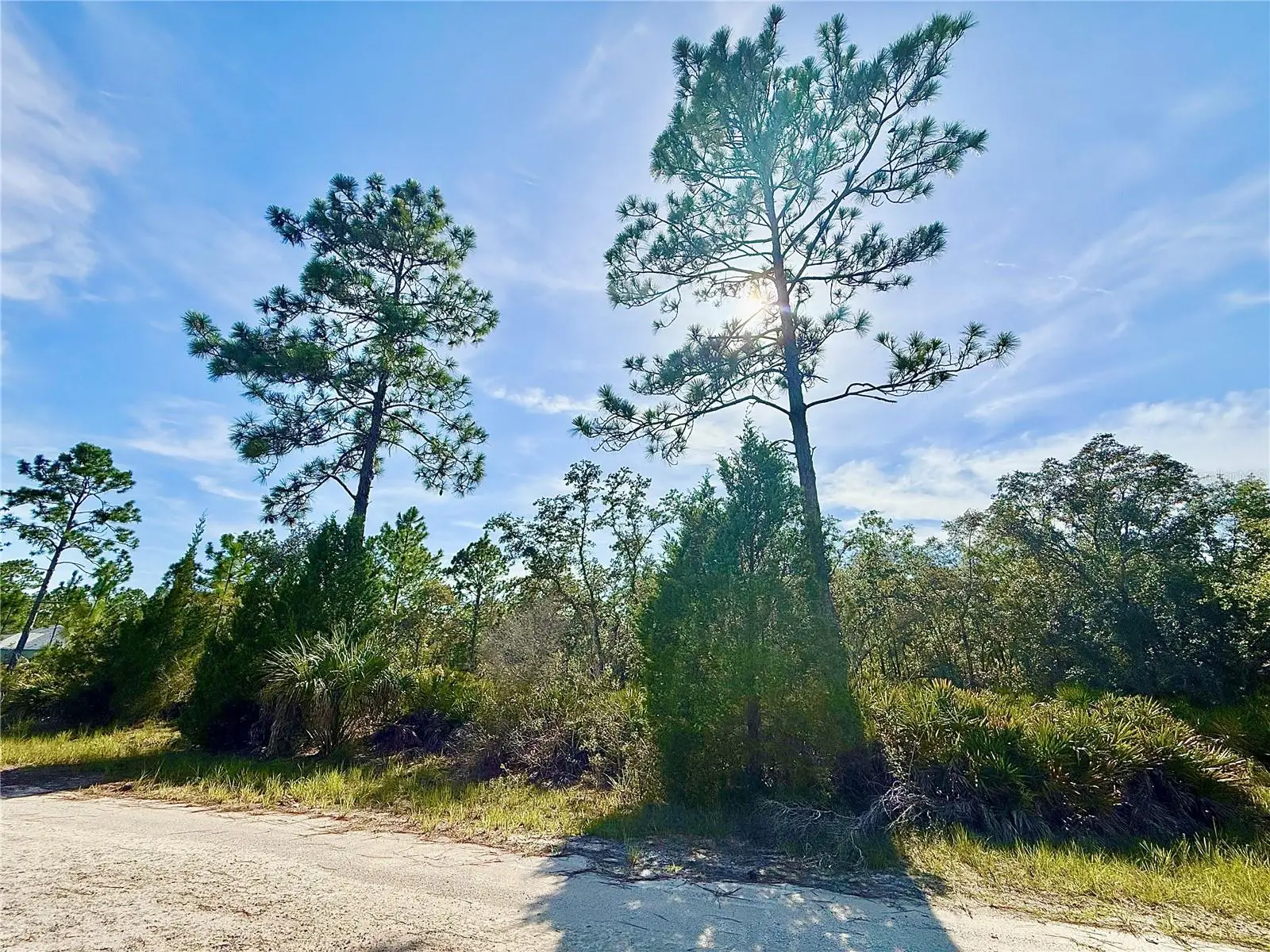 Rydal Road, FL