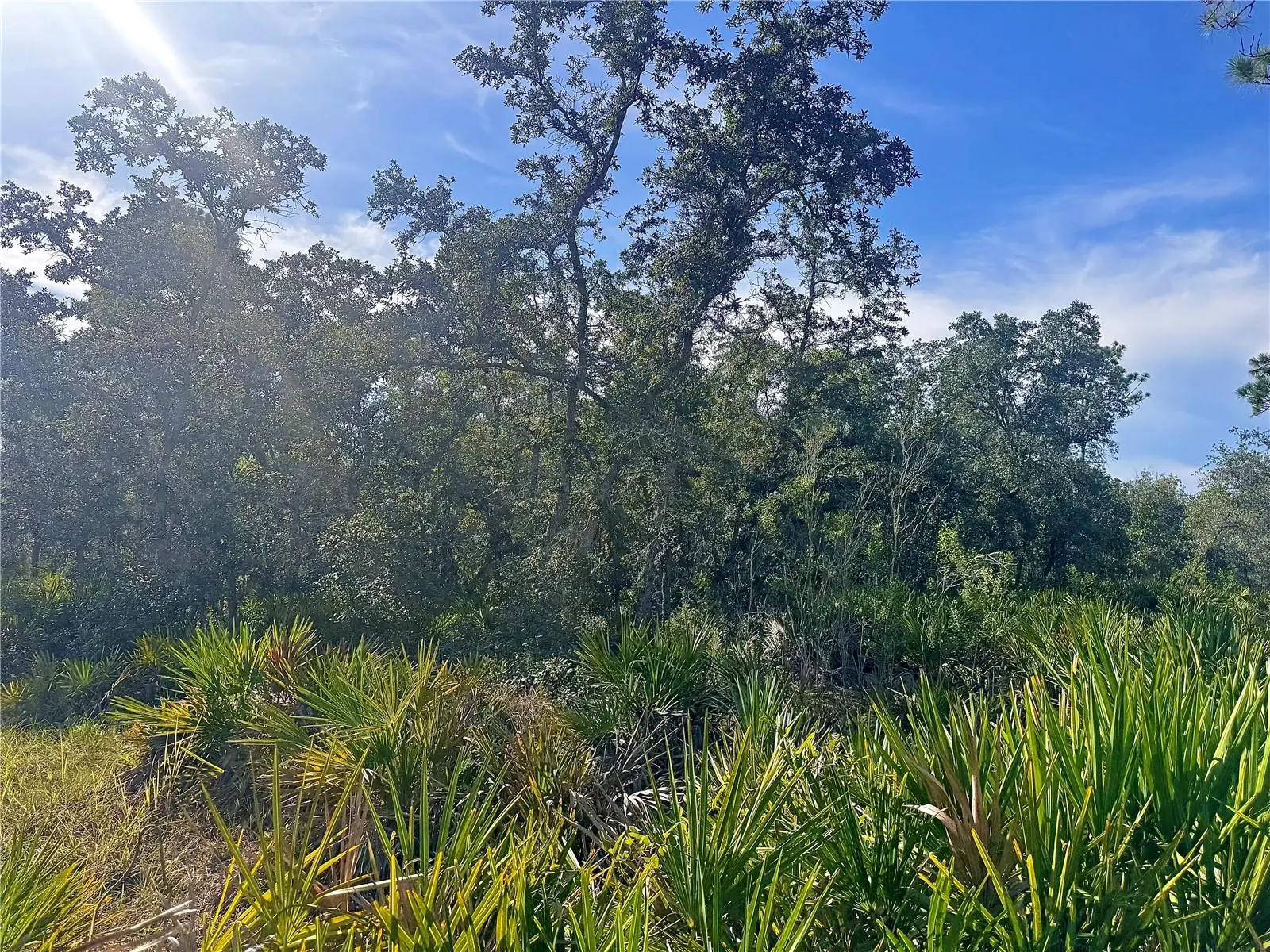 Rydal Road, FL