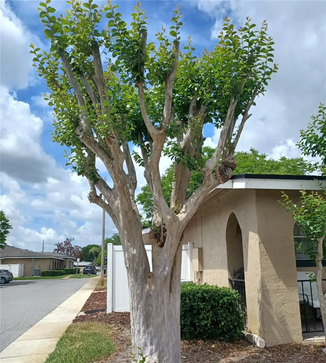 530 Cascade Circle, FL