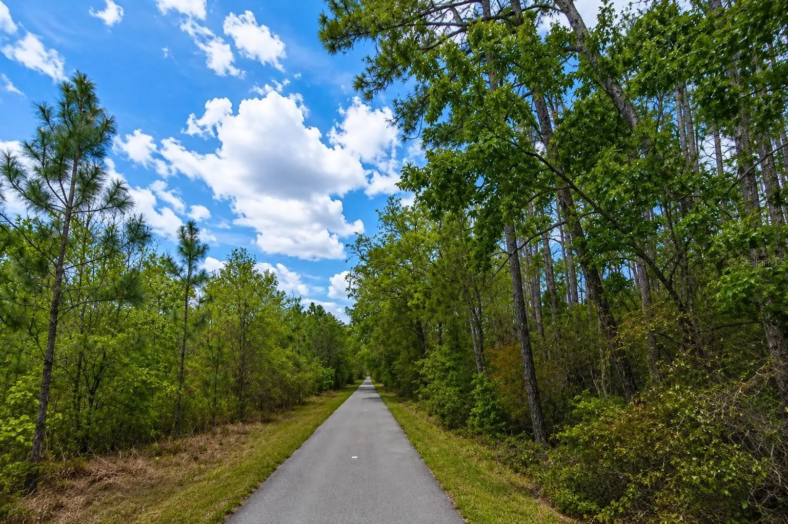 00 Van Fleet Trail, FL