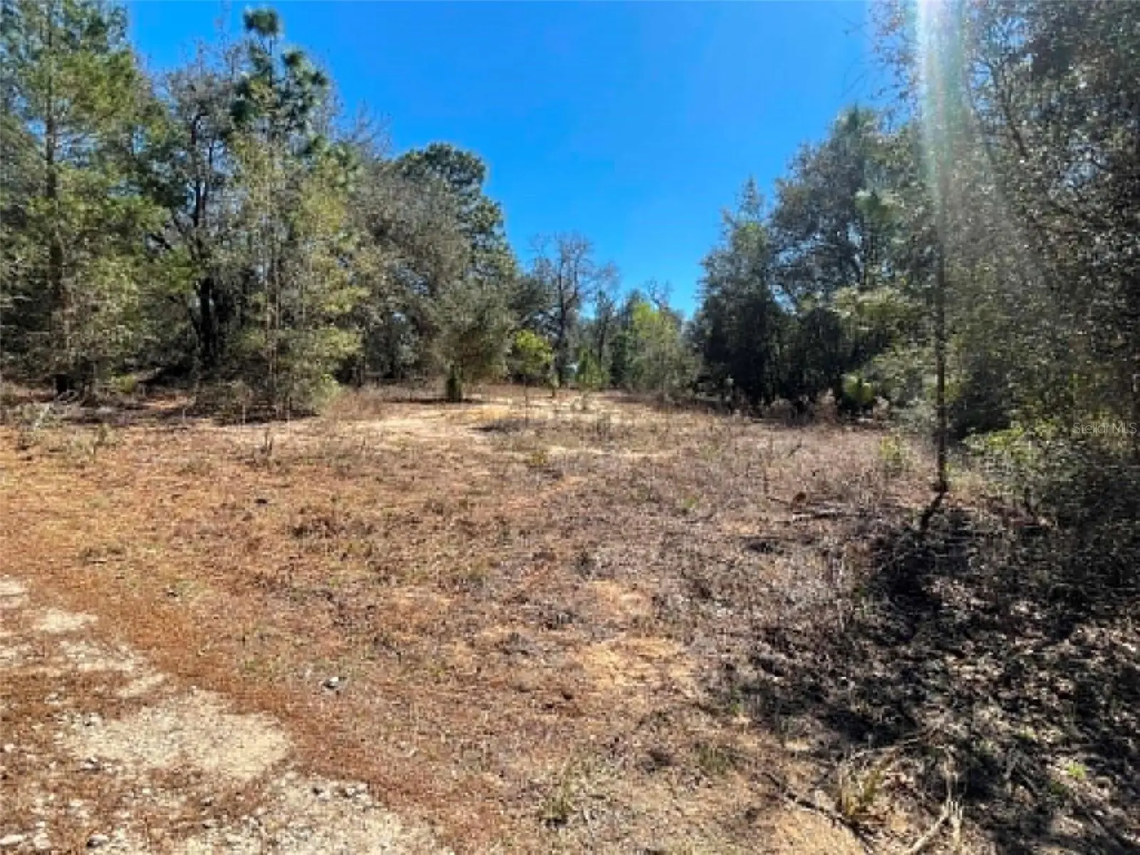 17530 Highway 452, FL