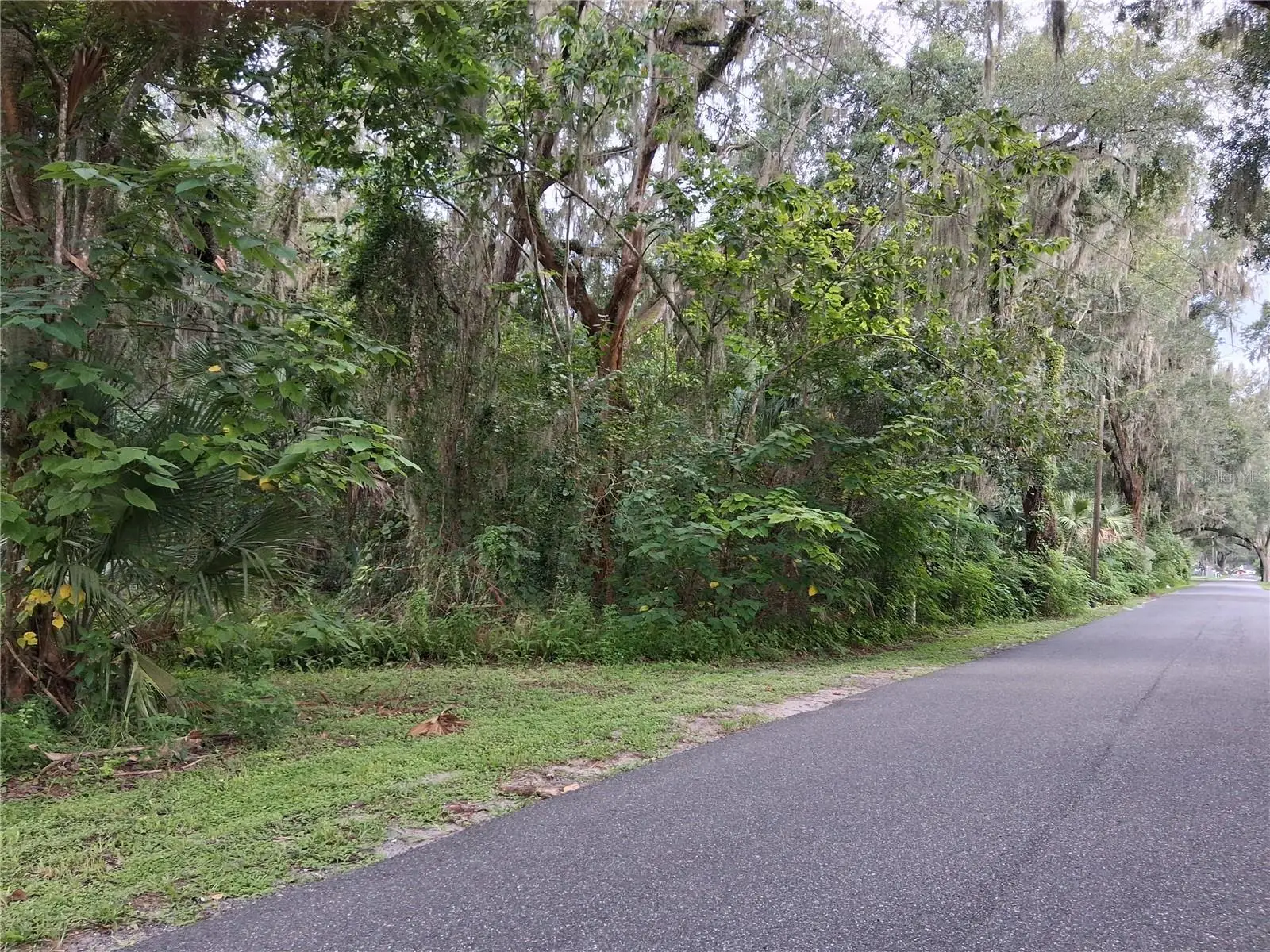 County Rd 730, FL