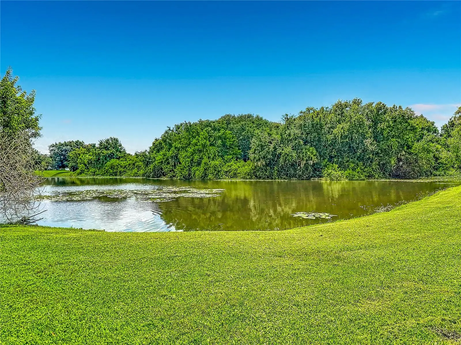 2710 Charing Cross Way, FL