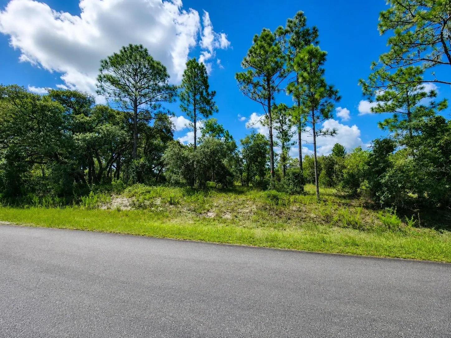 Nectarine Lane, FL