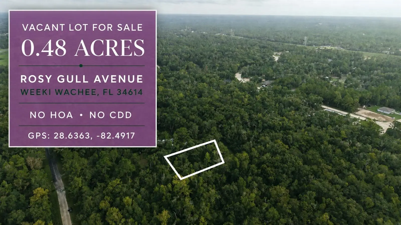 14186 Rosy Gull Avenue, FL