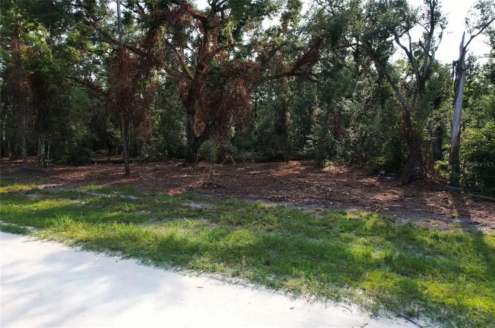 1615 497th Street, FL