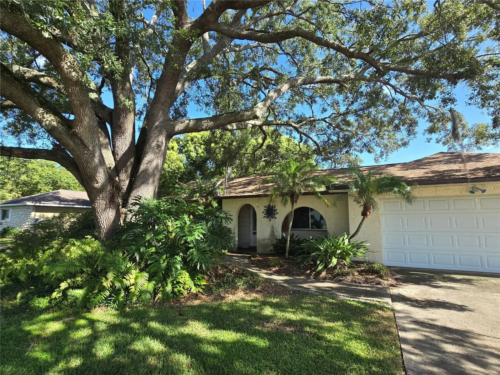 8431 Pamlico Street, FL