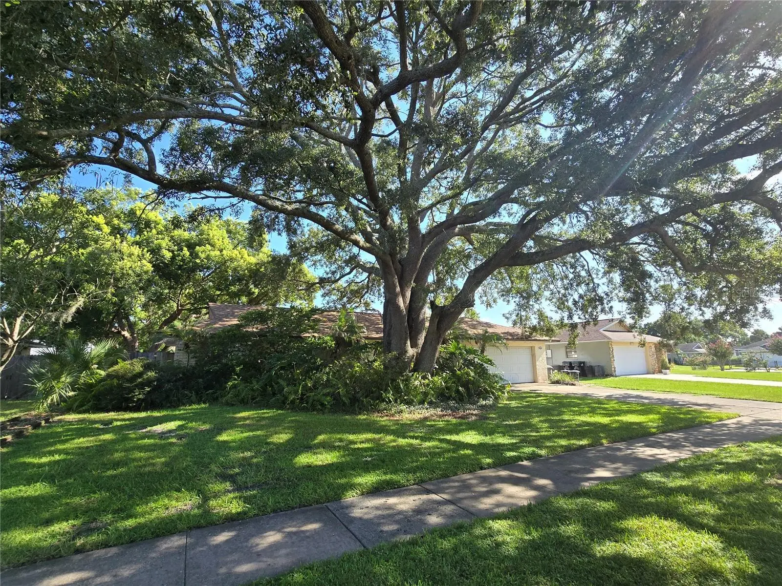 8431 Pamlico Street, FL