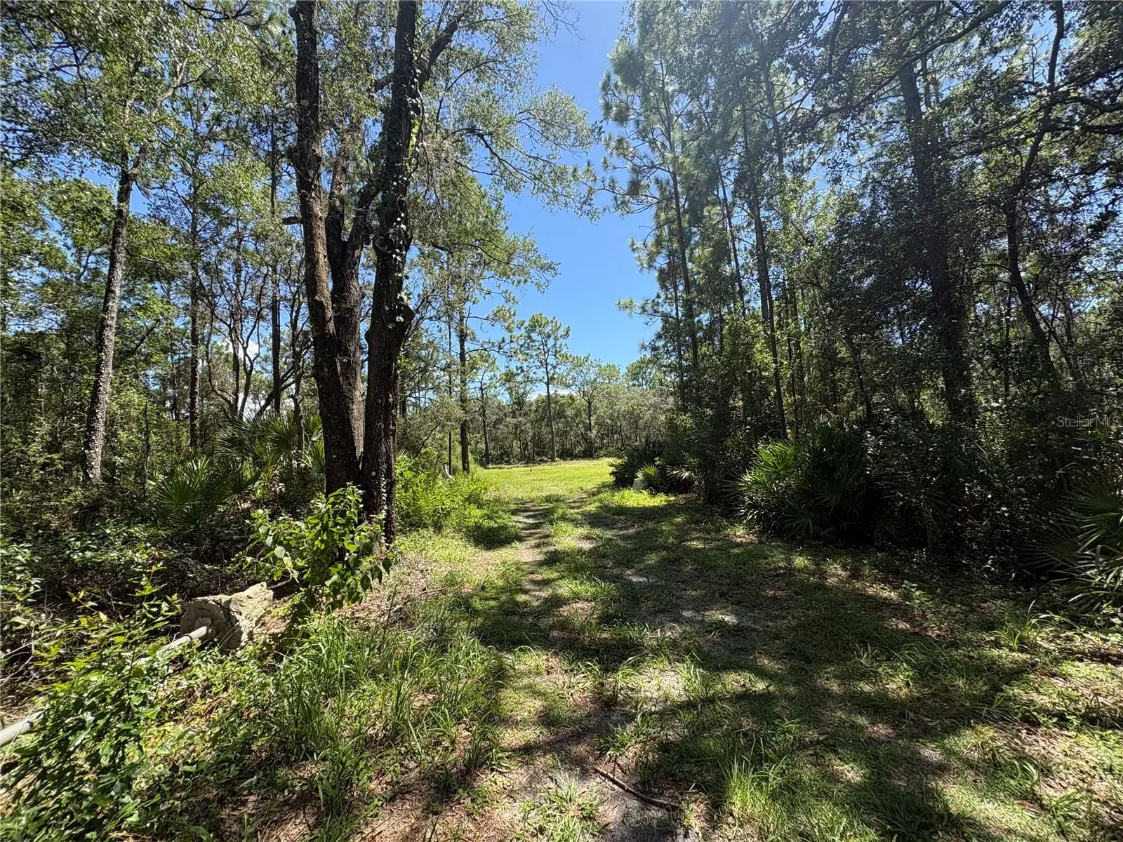 394 Florene Point, FL