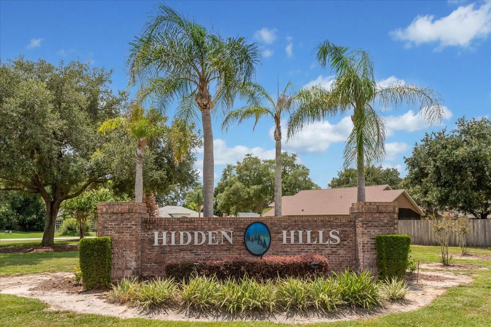 10217 Spring Moss Avenue, FL