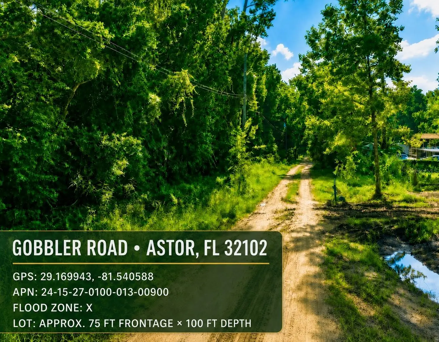 Gobbler Road, FL