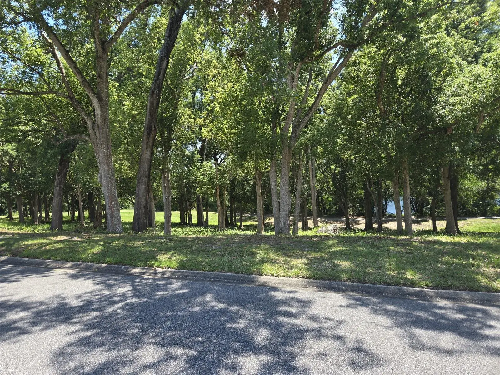4007 Cohen Drive, FL