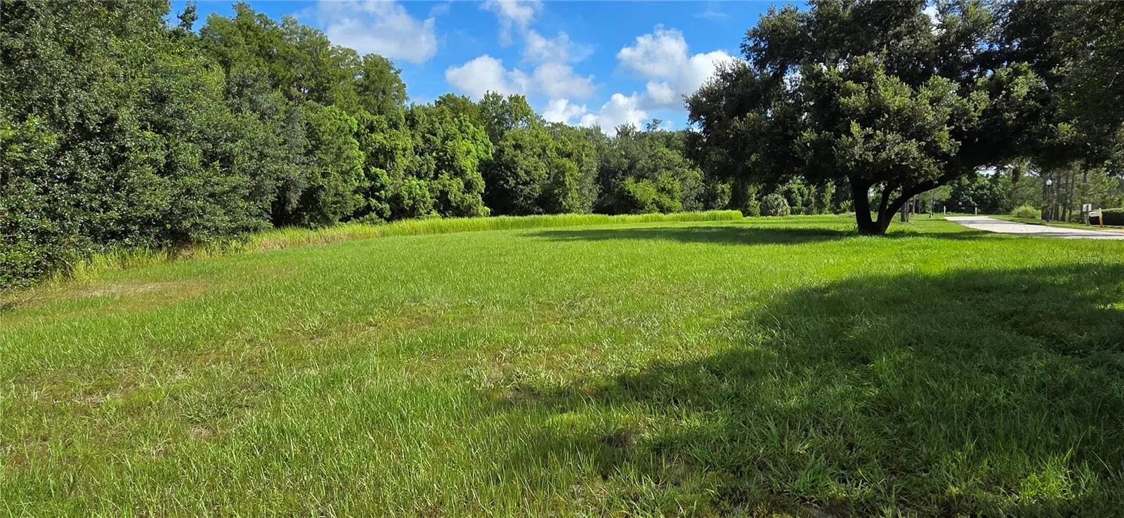 Bellerive Drive, FL