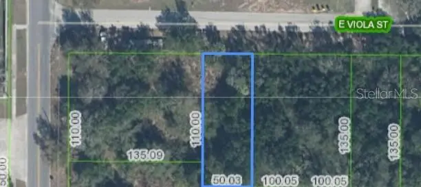 6 Viola Street, FL