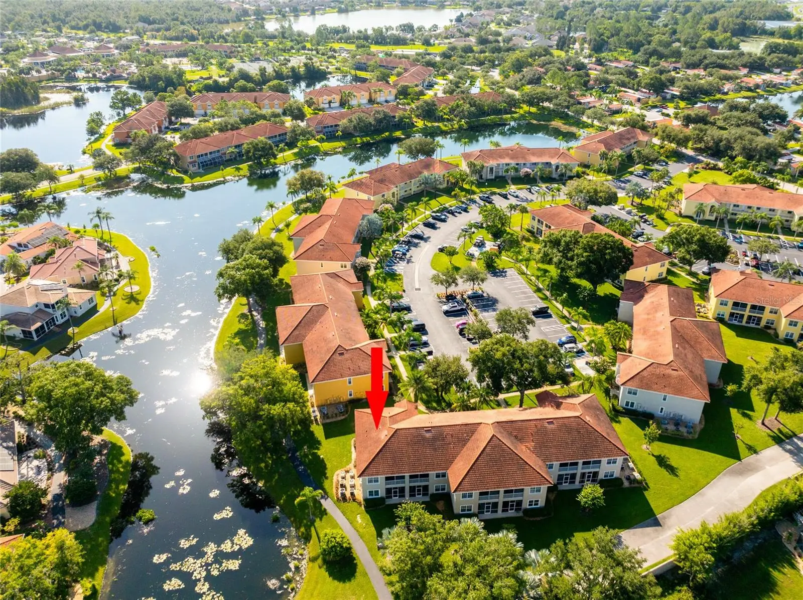 6815 Dali Avenue, FL