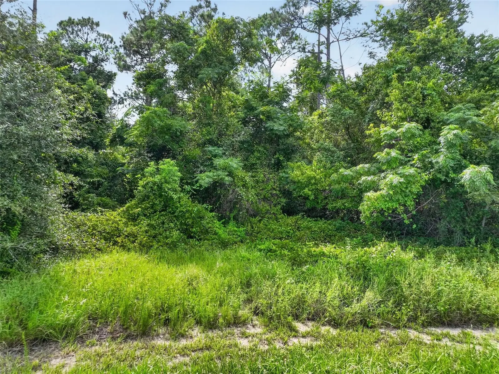 Dudley Avenue, FL