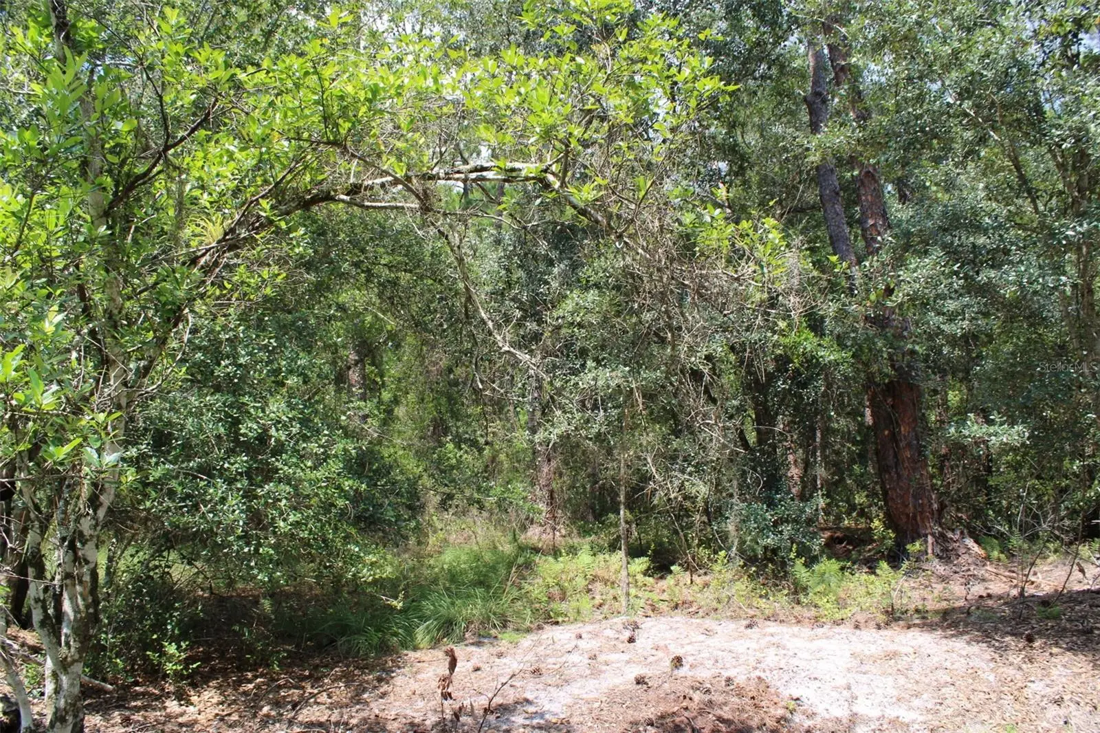 1217 Iris Avenue, FL
