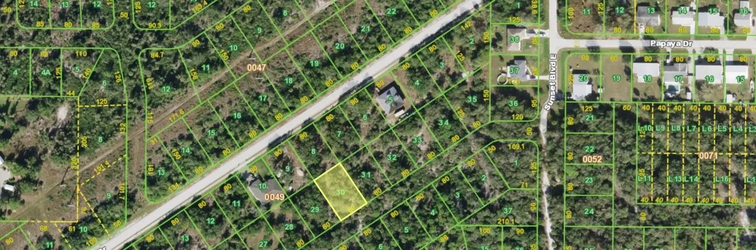 5220 Papaya Drive, FL