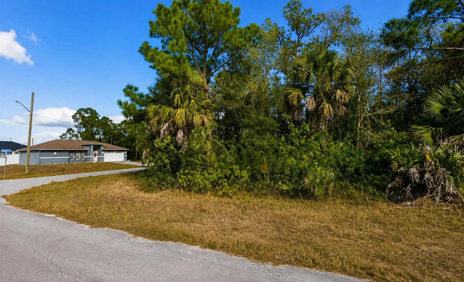 904 Albany Avenue, FL