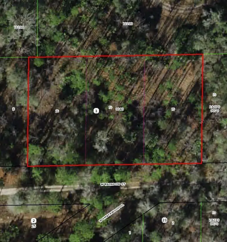 7265 Rainbow Street, FL