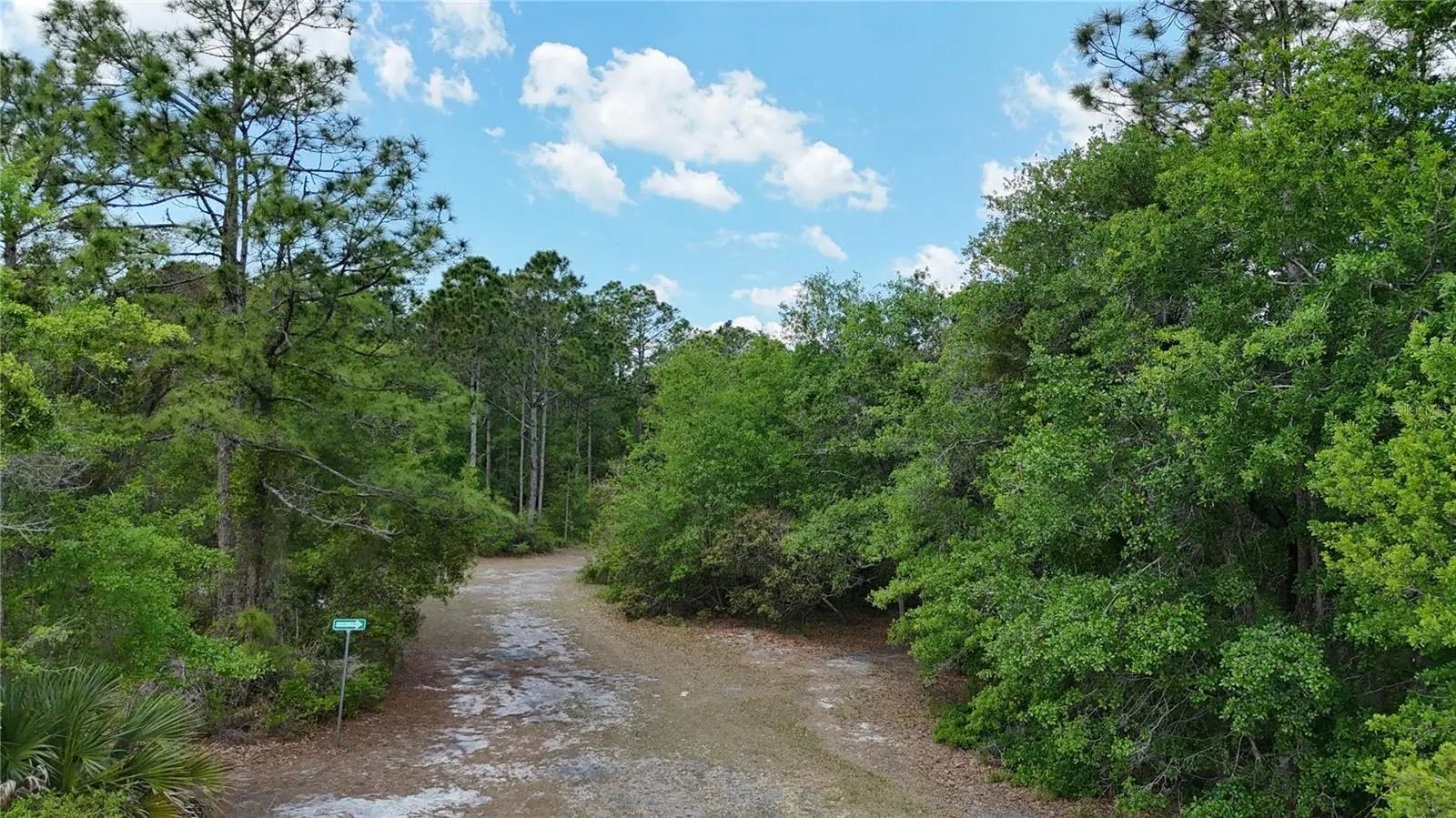 1389 Shipwreck Lane, FL