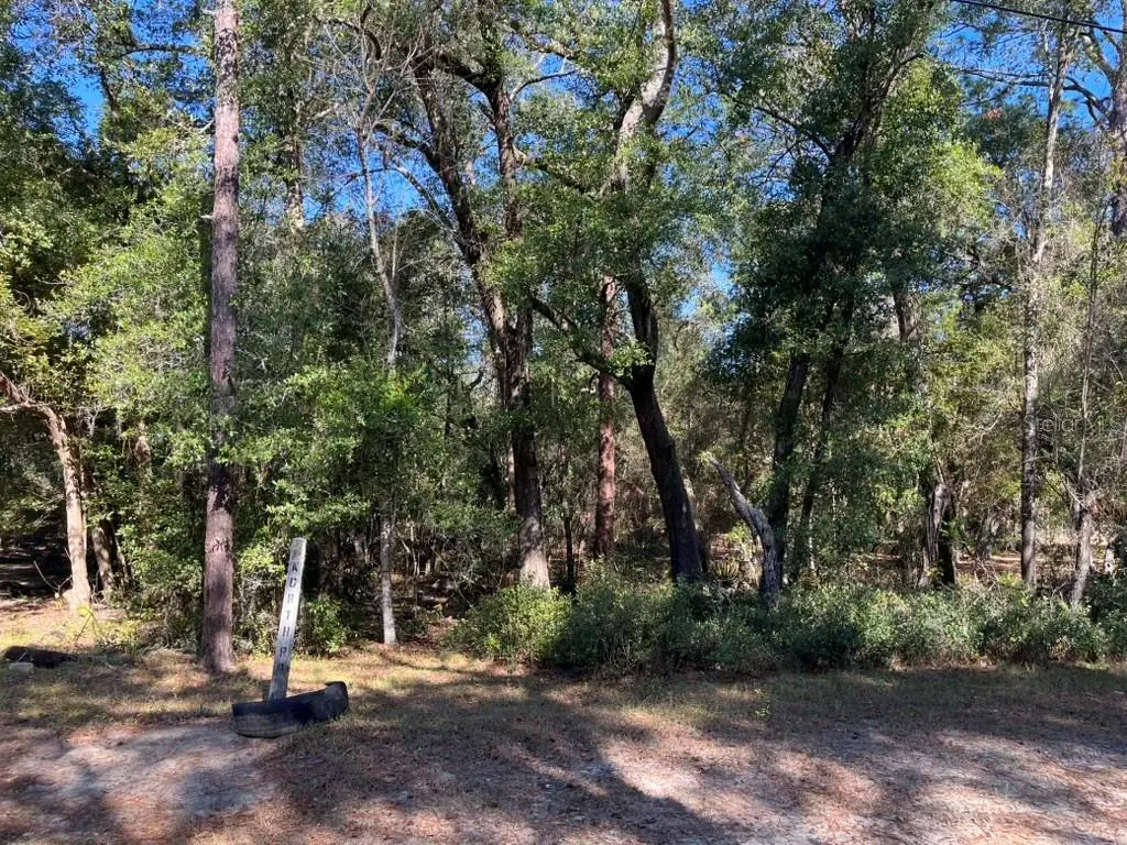 North Road, FL