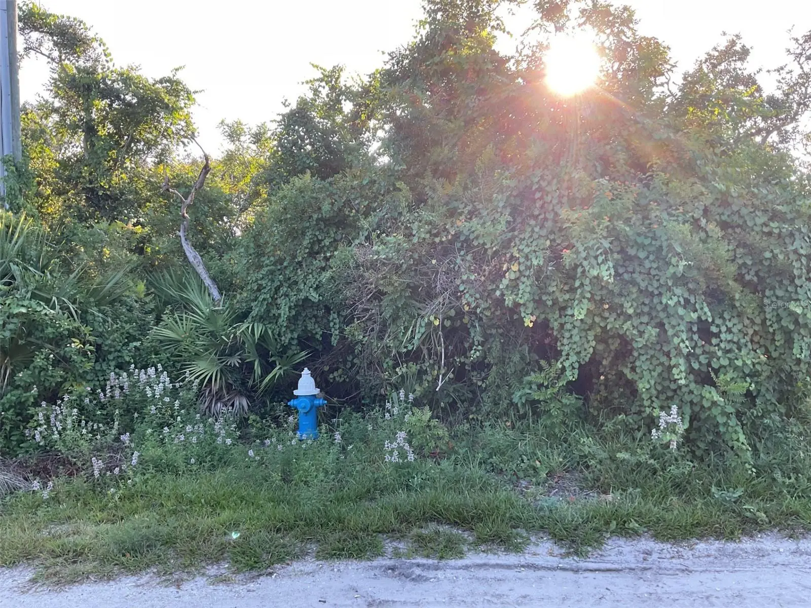 5 Dogwood Terrace, FL