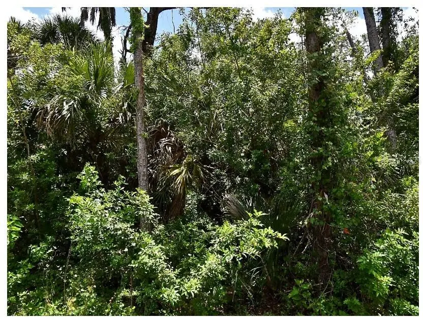 Numera Avenue, FL