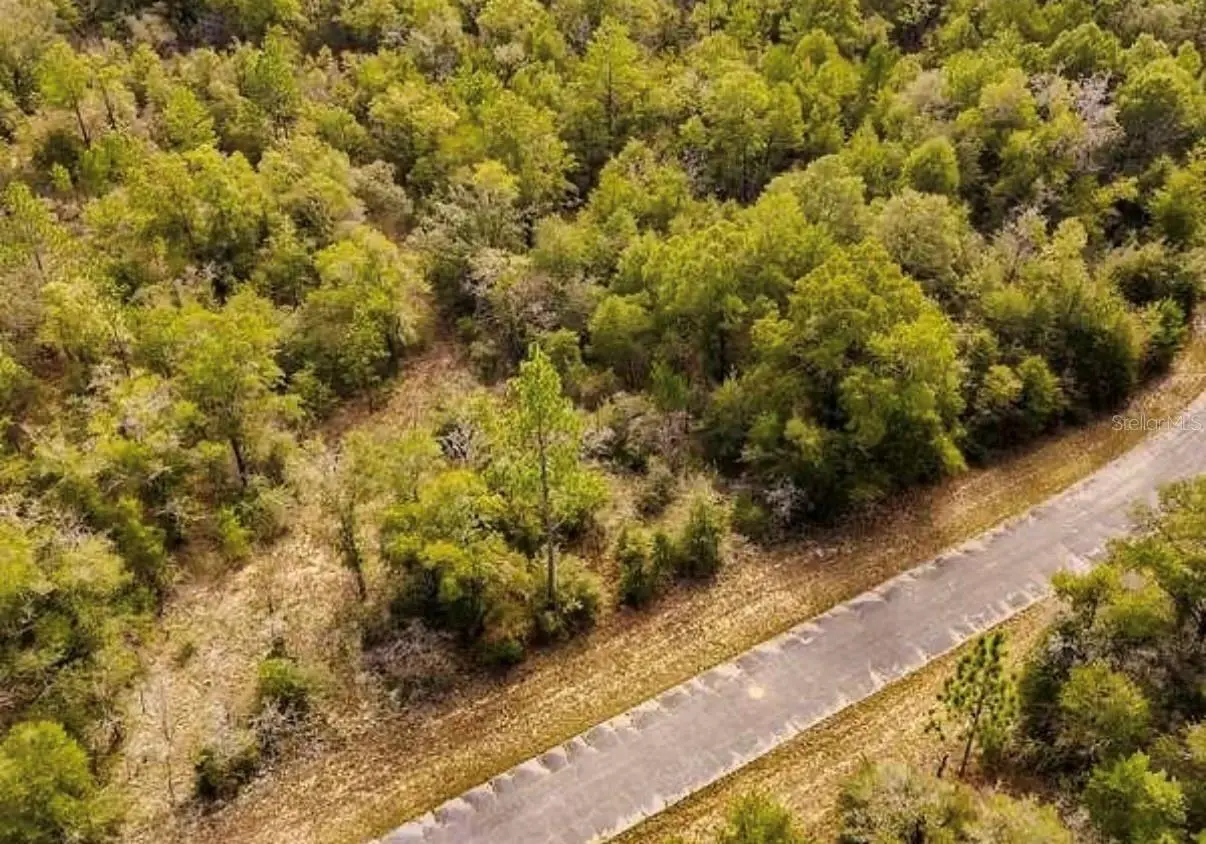 Lot #41 Dandelion Drive, FL