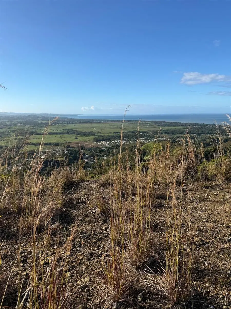 Carr. 402, Km. 5.0 Barrio PiñAles, PR