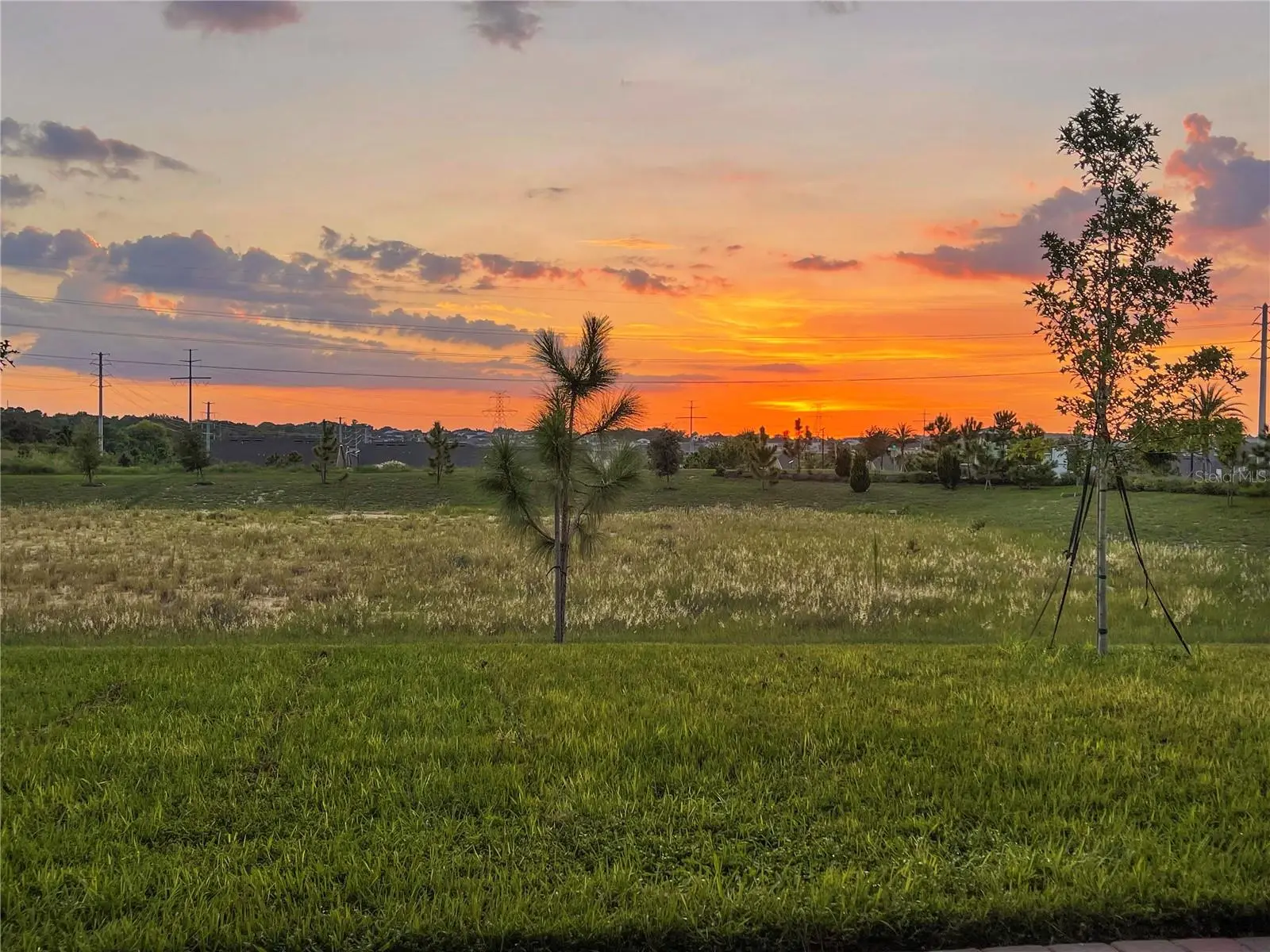 2685 Sweet Acacia Drive, FL