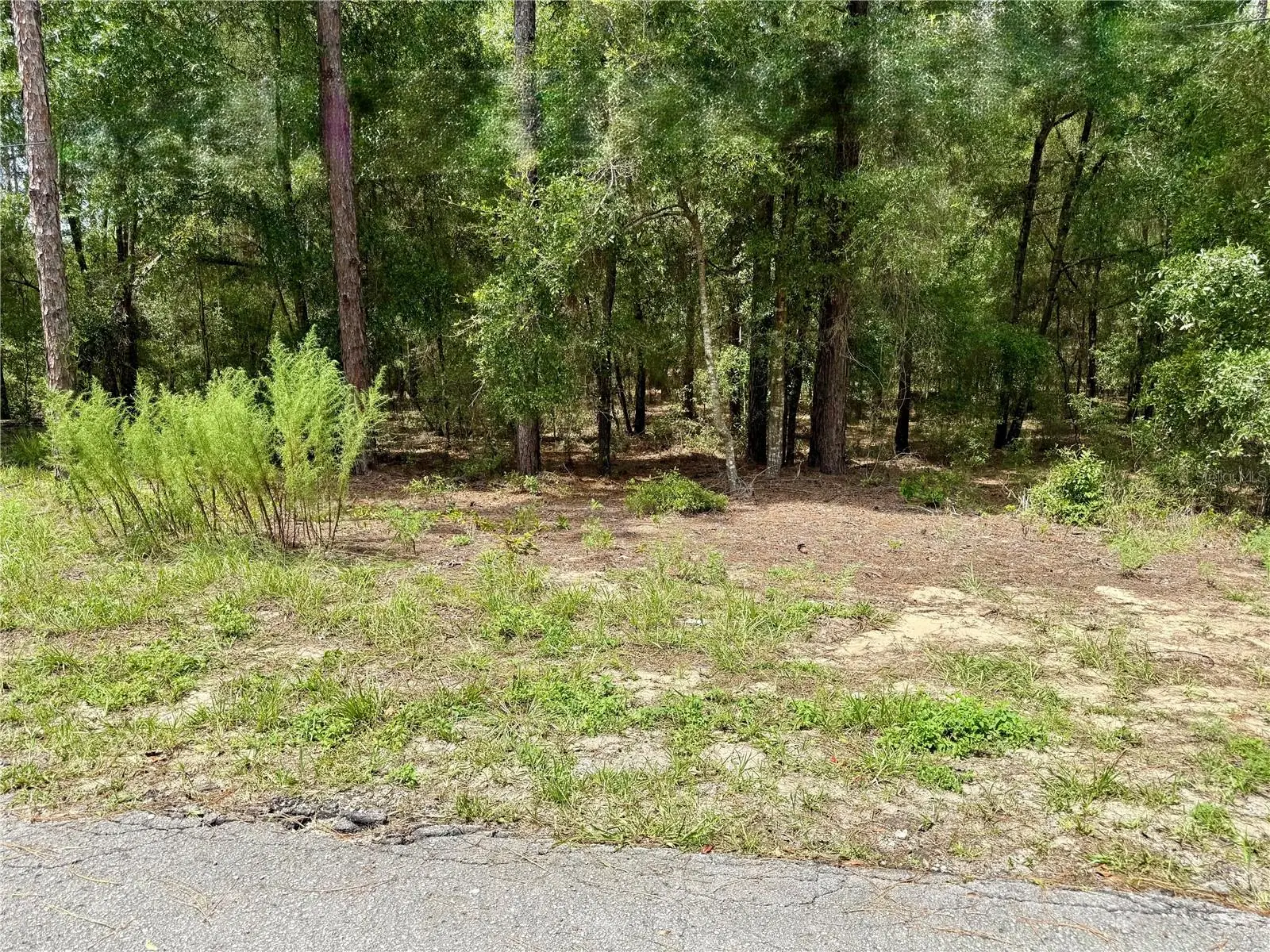 Sw 205th Circle, FL