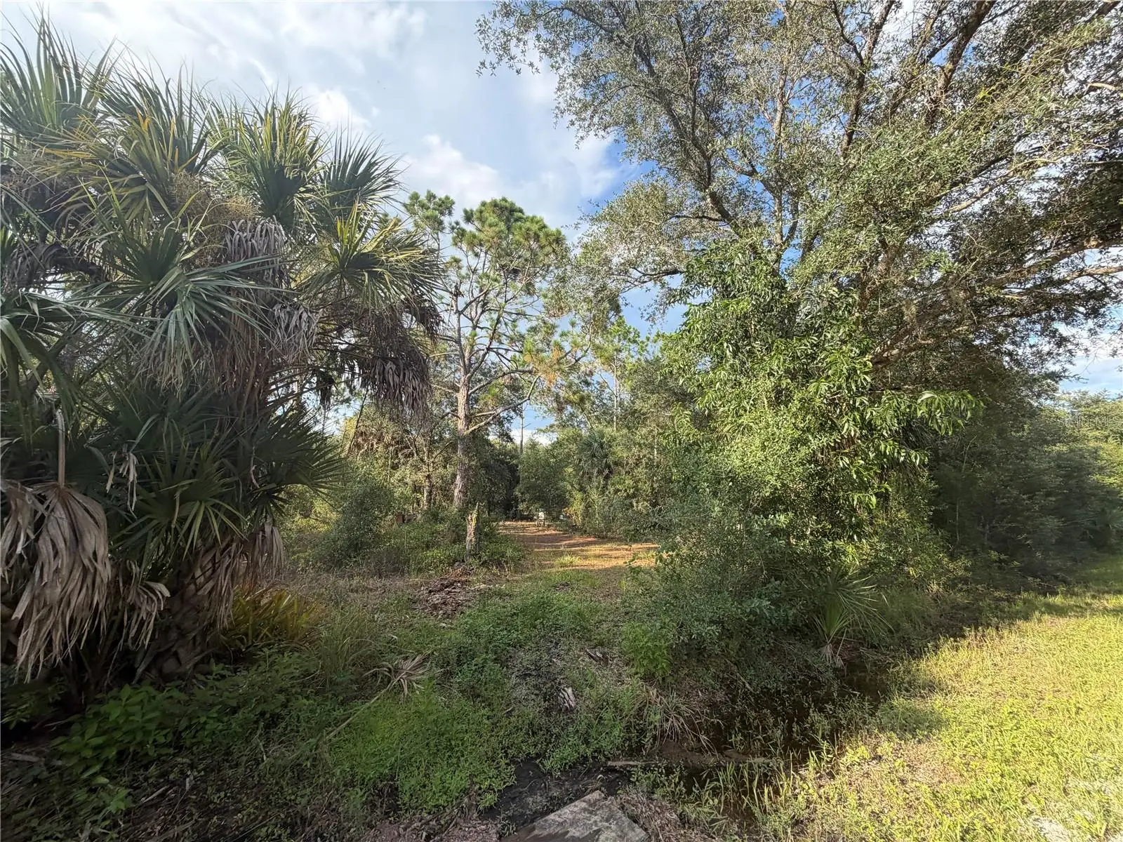 28196 Alatadena Drive, FL