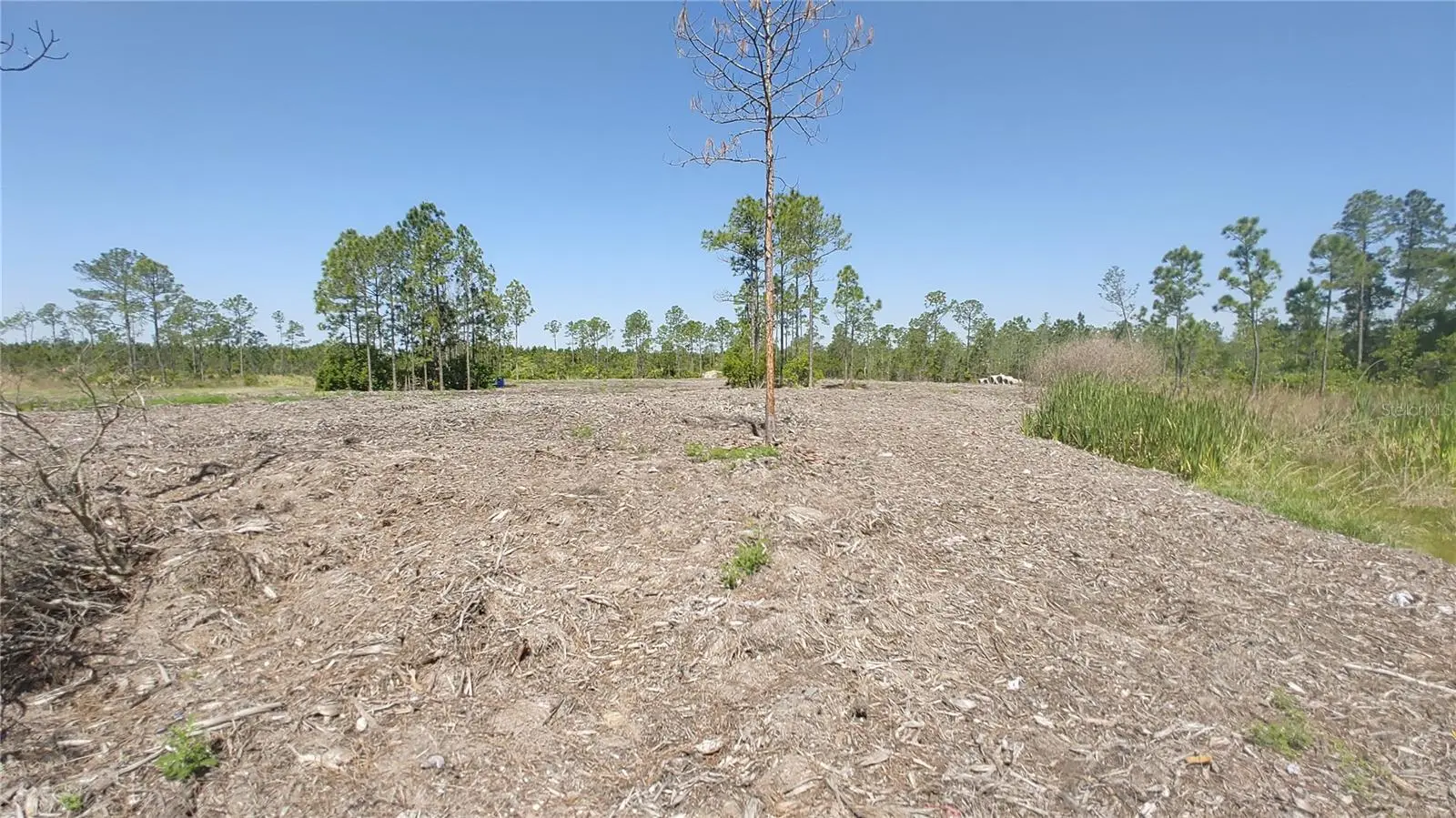 1001 Omega Ranch Road, FL