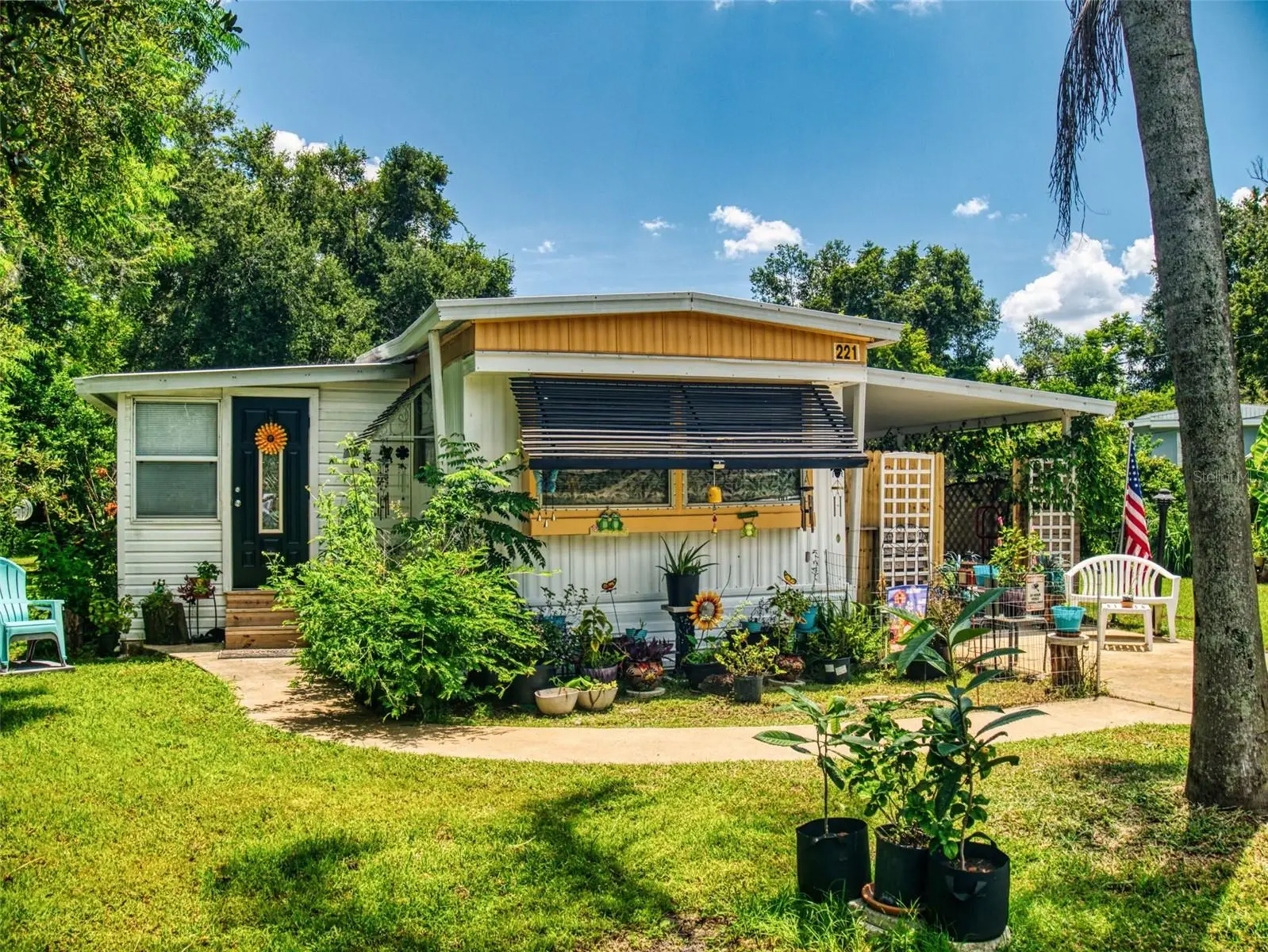 221 Evergreen Terrace, FL