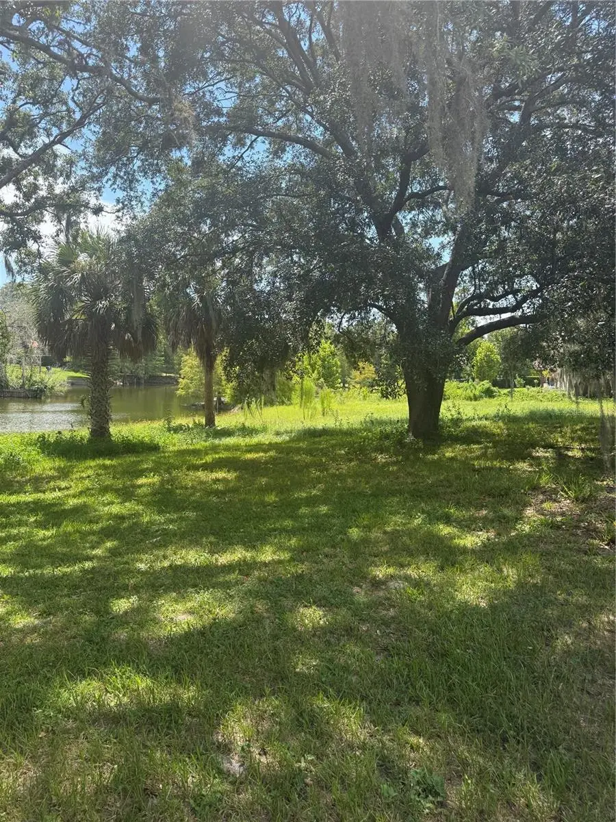 Park Ridge Gotha Road, FL