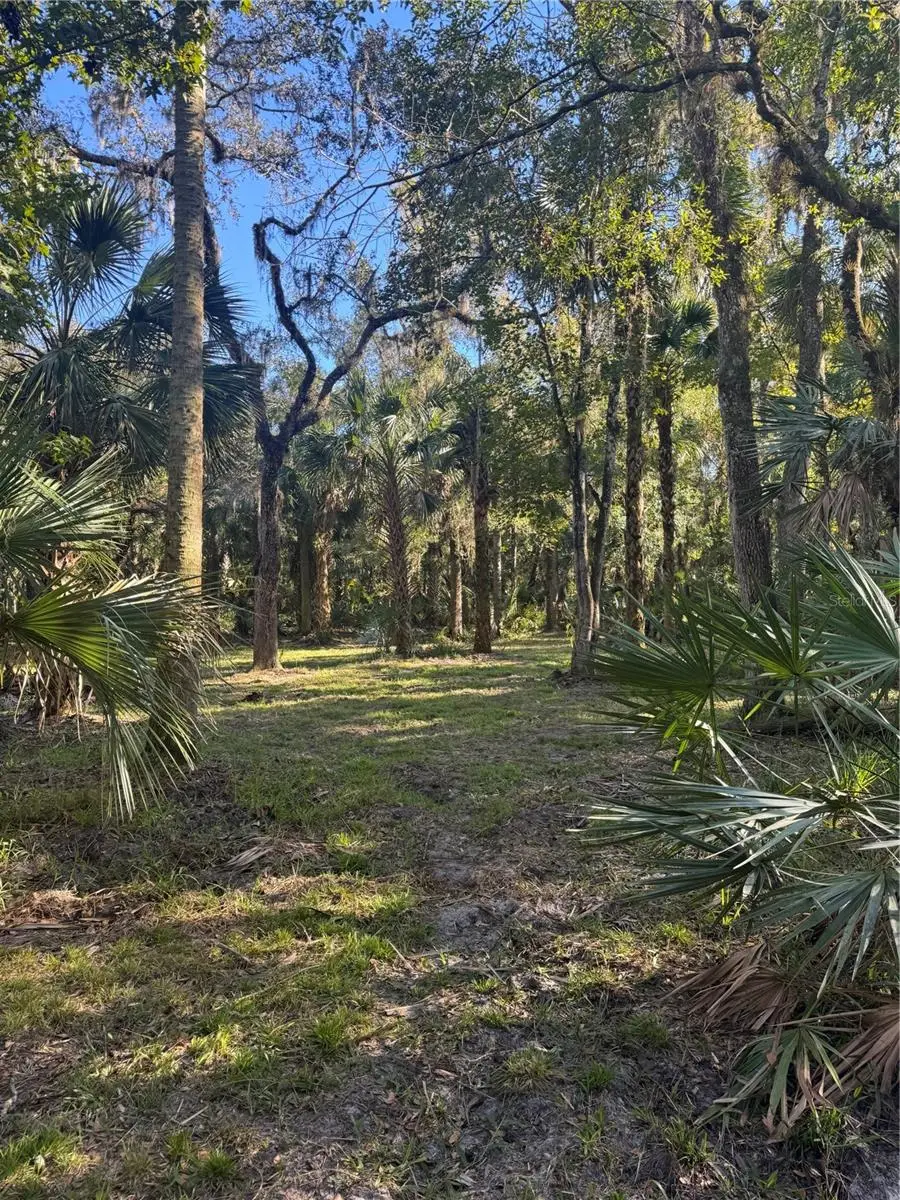 S County Road 13, FL