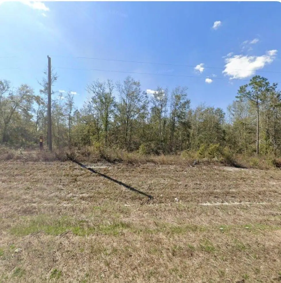 0 County Road 49, FL