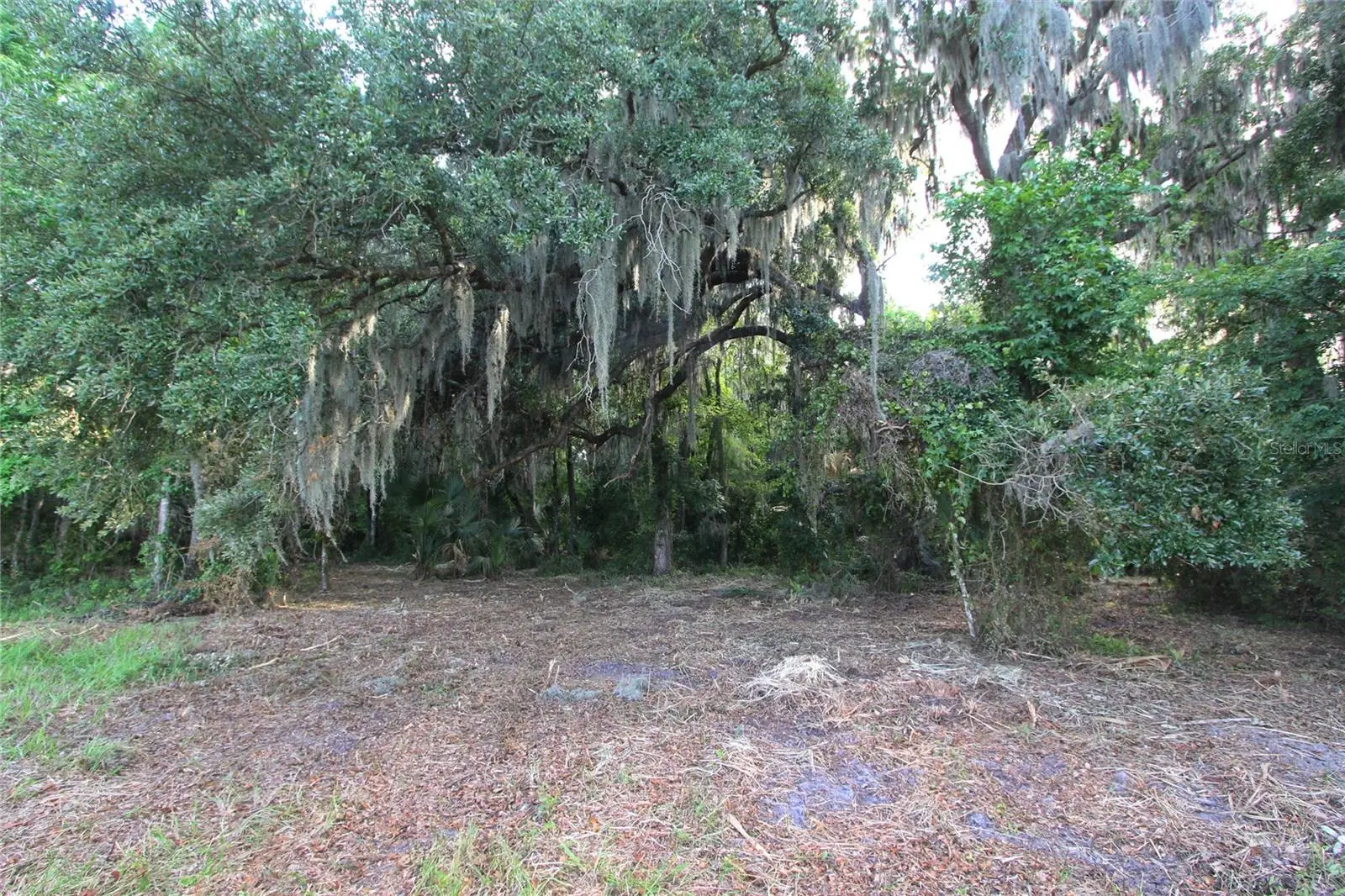 Tbd Cr 526, FL