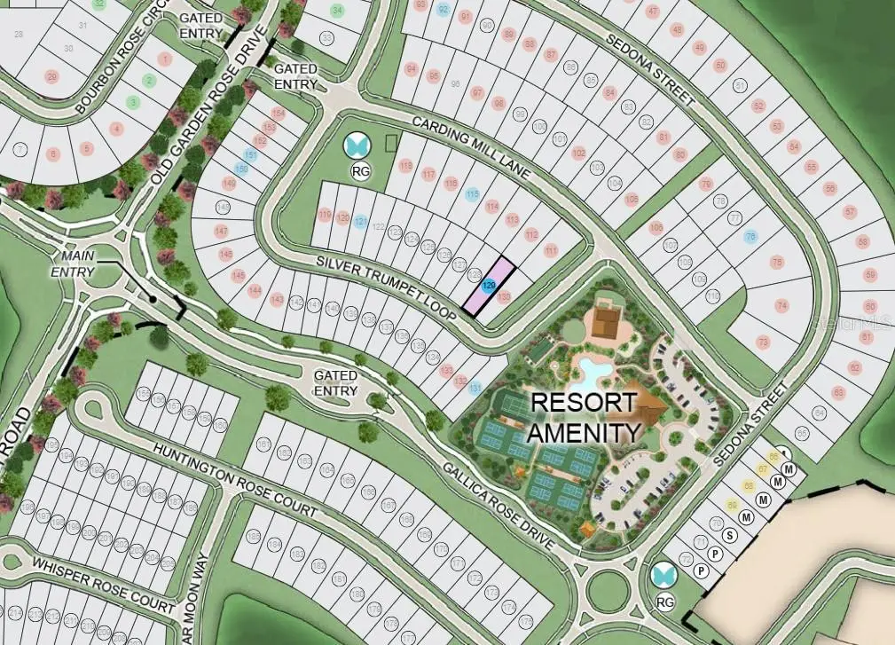 11202 Silver Trumpet Loop, FL