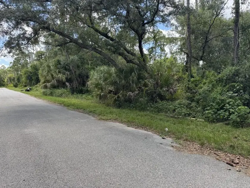 Scanlon Avenue, FL