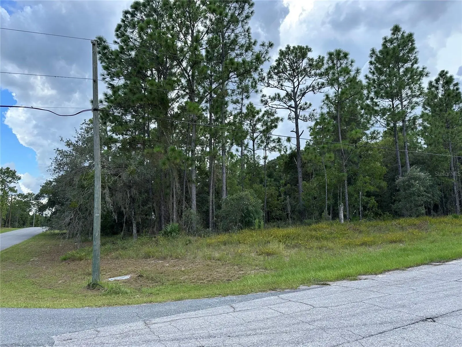 5212 Peppermint Drive, FL