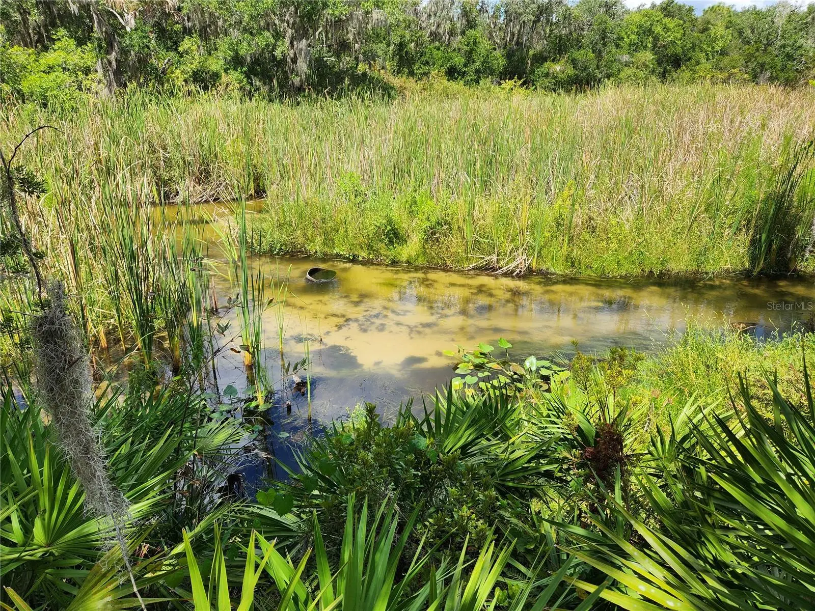 Deer Road, FL