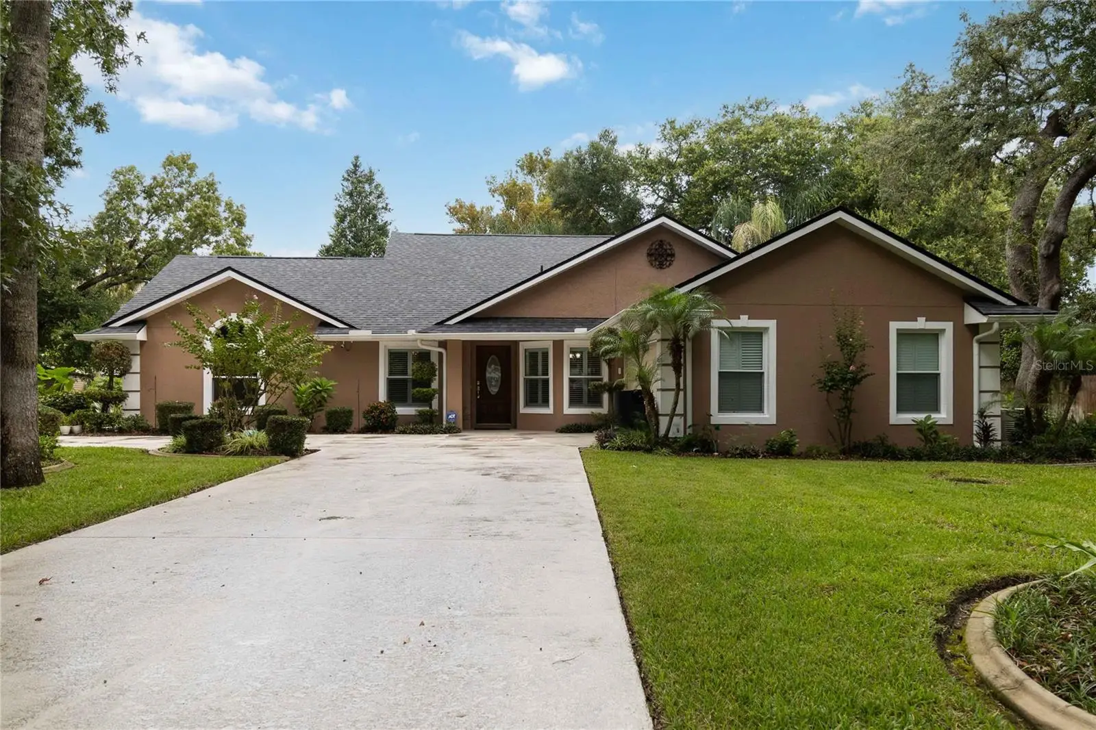 313 Ridgewood Street, FL