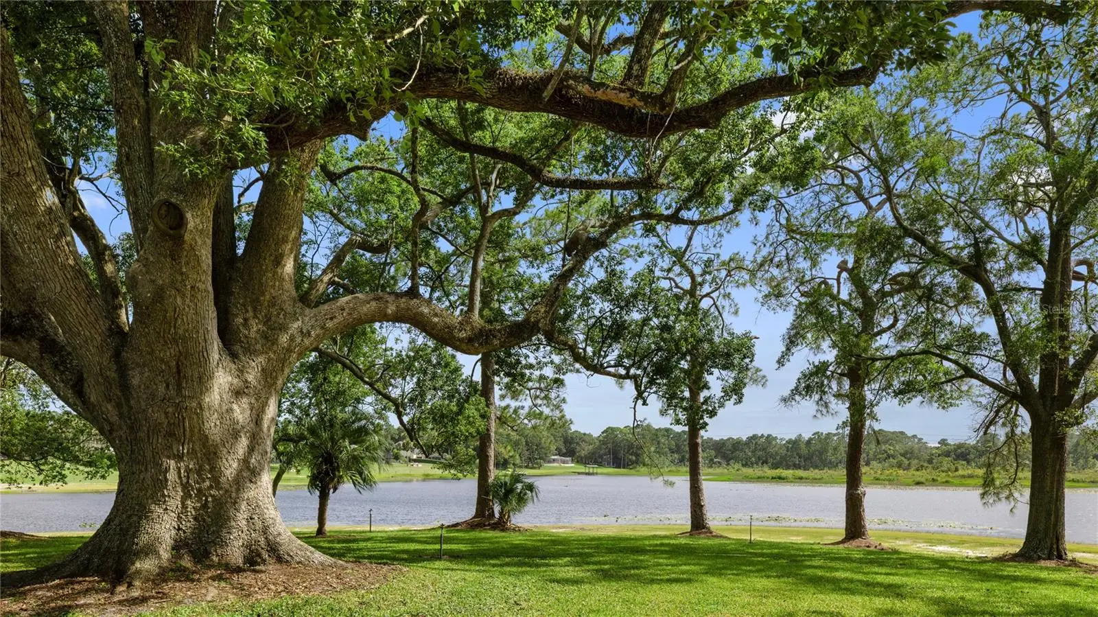 Reagan Trail, FL