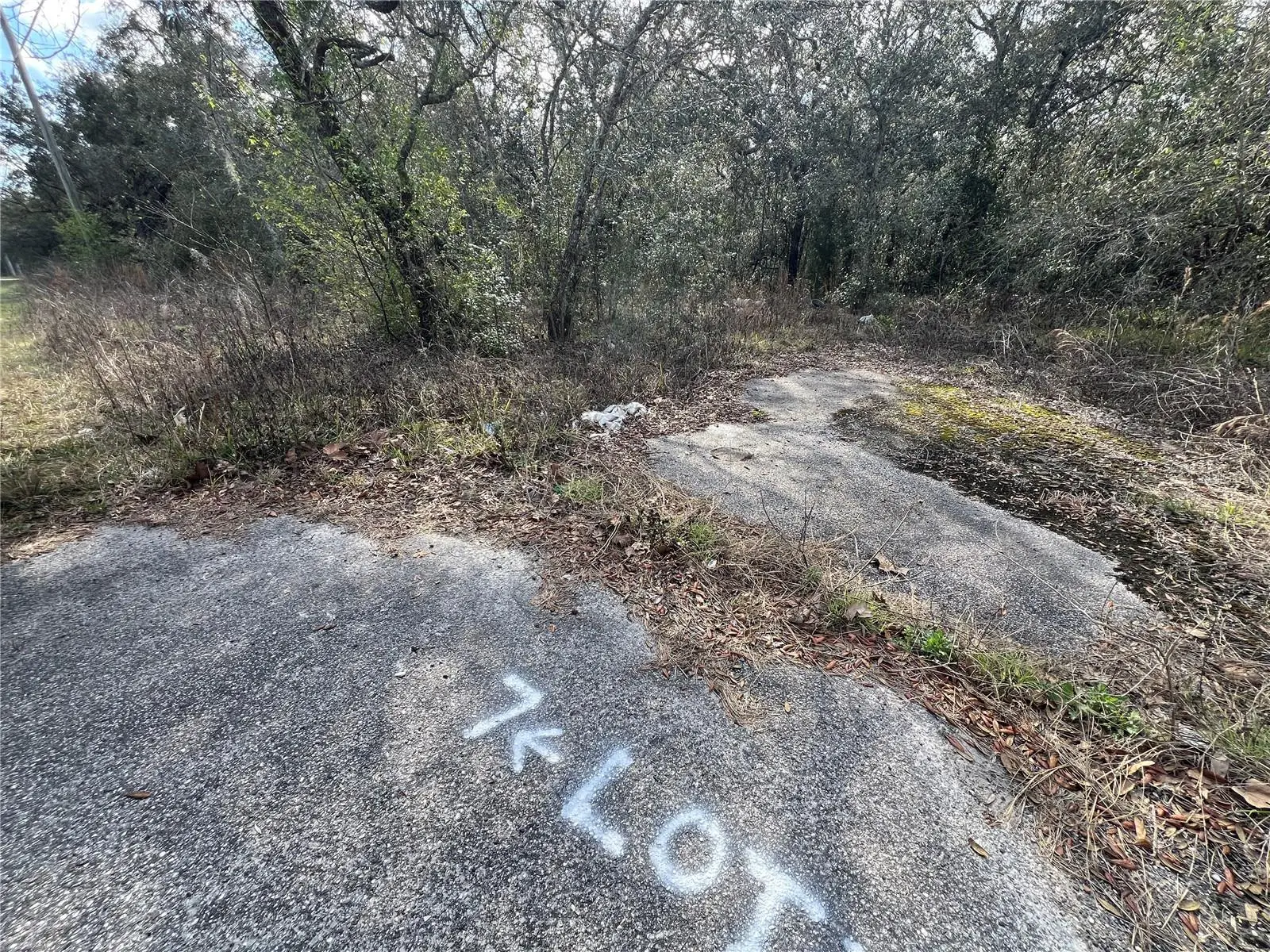 Lot 7 Hays Rd, FL