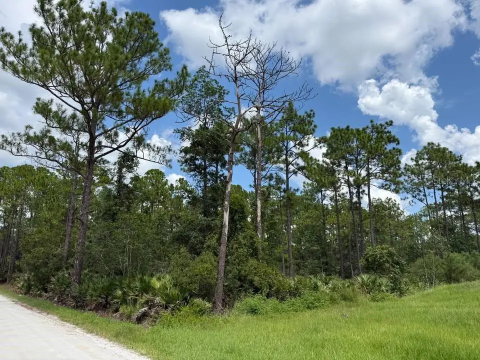 Unassigned East Parkway, FL